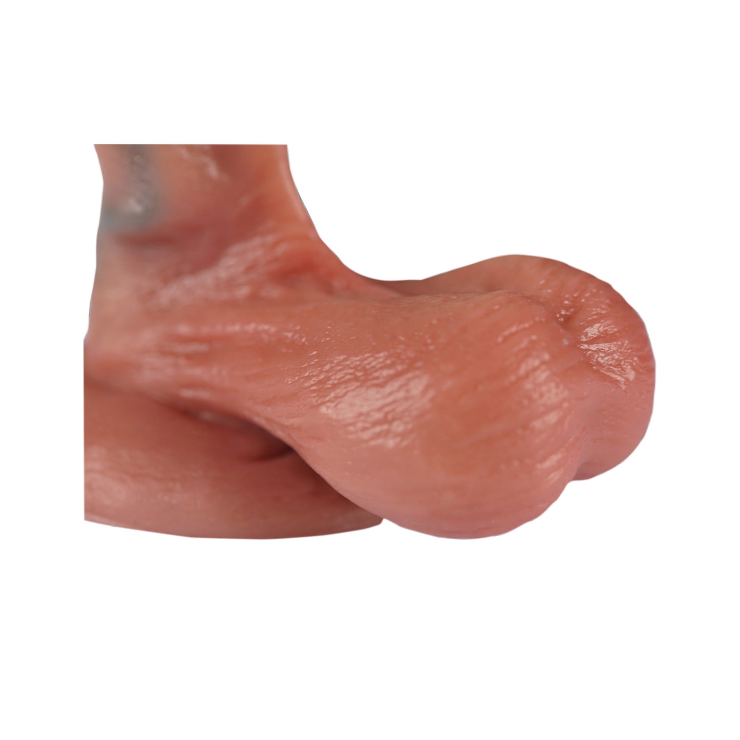 MALESATION Realistic Dildo with Balls